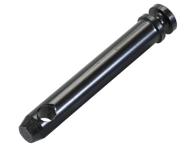 Cavilha 19x102mm Cat. 1 (Ø19mm) Reforçado (S.164566)