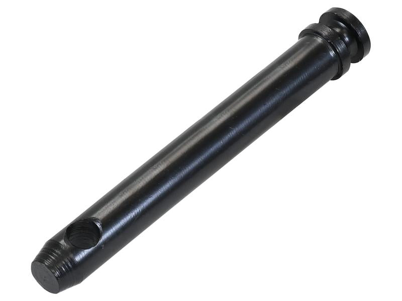 Cavilha 19x127mm Cat. 1 (Ø19mm) Reforçado (S.164568)