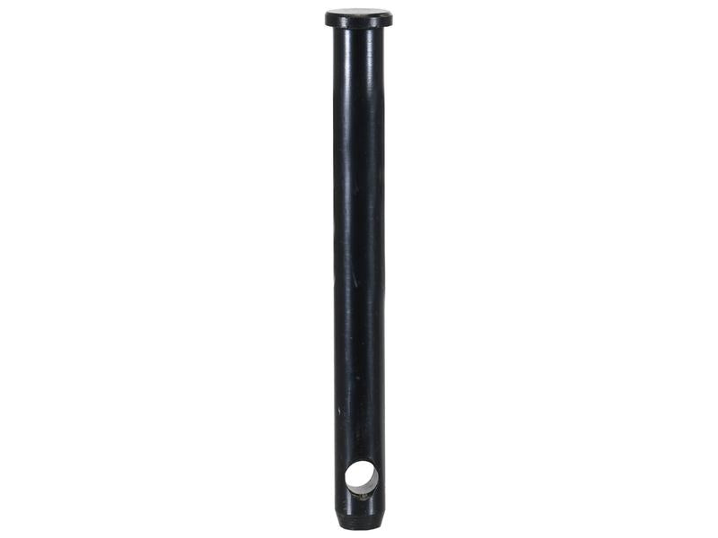 Cavilha 19x166mm Cat. 1 (Ø19mm) Reforçado (S.164569)