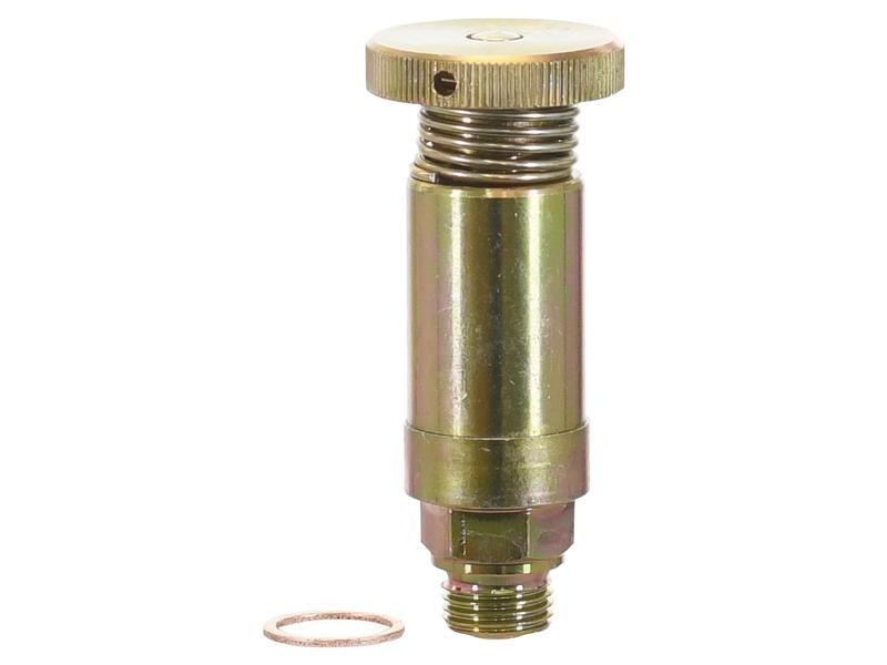 Bomba de alimentação (S.167100)