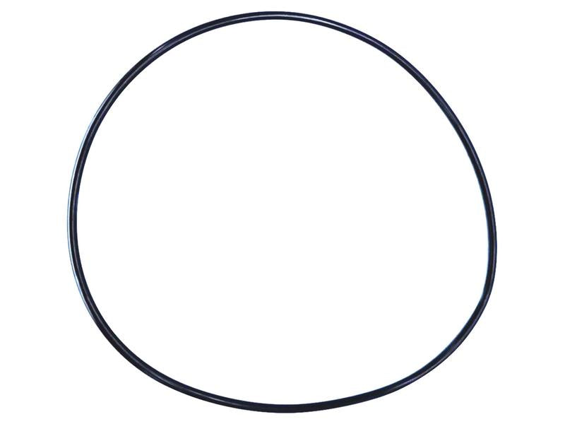 Kit O'rings (S.169056)