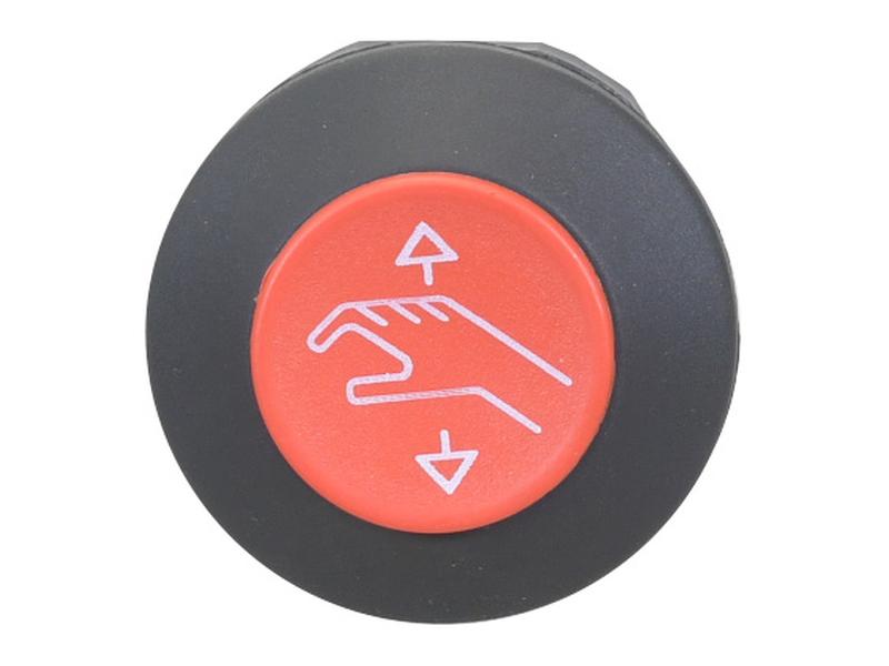 Interruptor Pressure (S.169989)