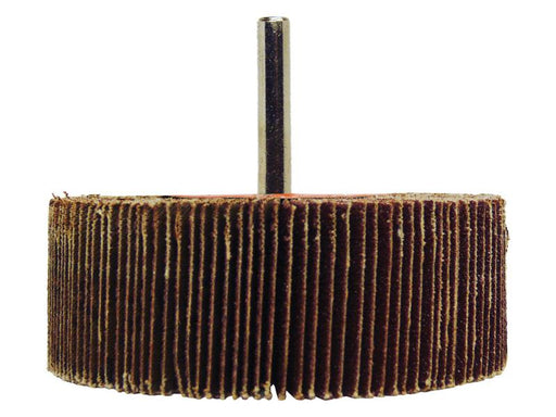 Escova de aço Ø50mm, Altura 30mm, 80g (S.171382)