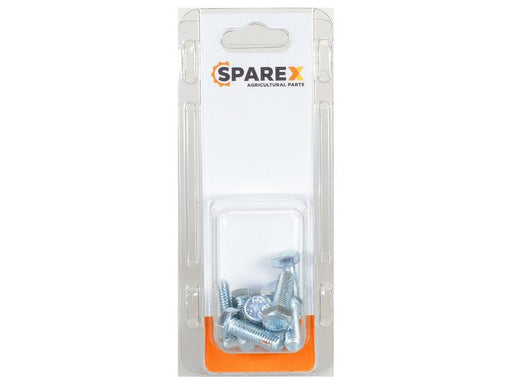 Agripak 10 un. Parafuso métrico, M8x25mm (S.172102)