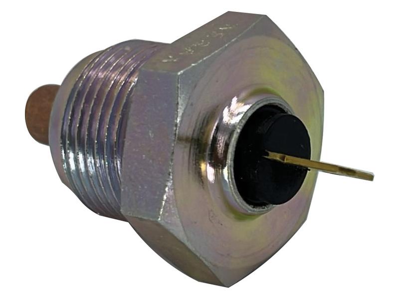 Sensor de temperatura da água (S.173784)