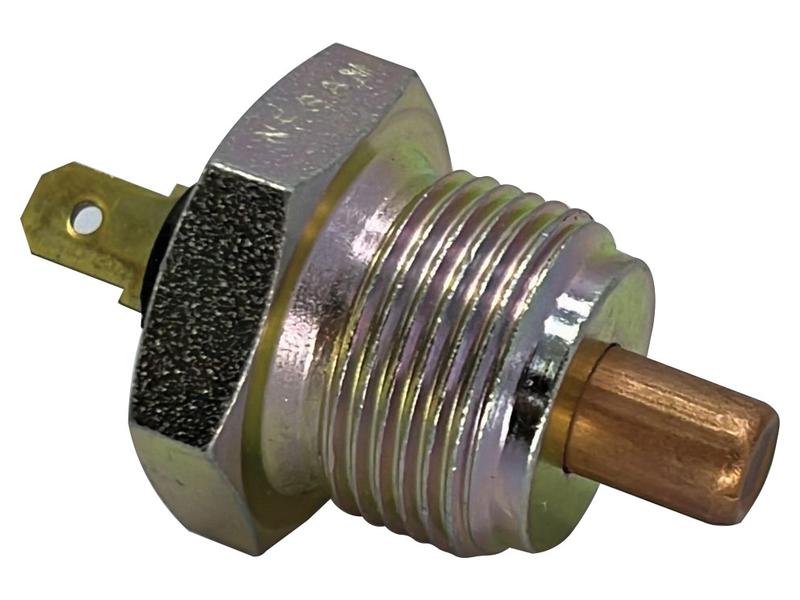 Sensor de temperatura da água (S.173784)