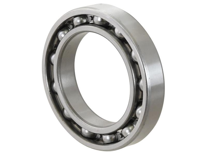 Sparex Rolamento (6013) (S.18013)