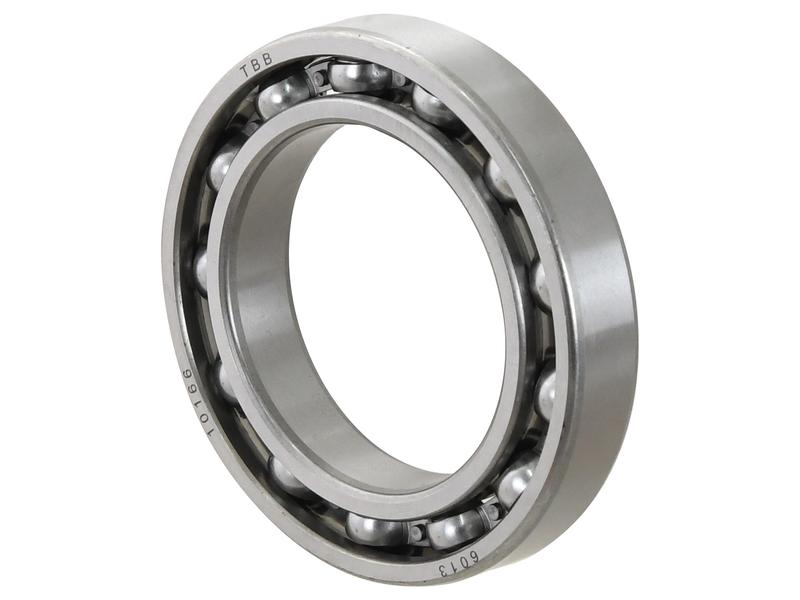 Sparex Rolamento (6013) (S.18013)