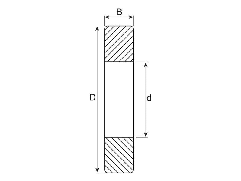 Sparex Rolamento (62022RS) (S.18084)