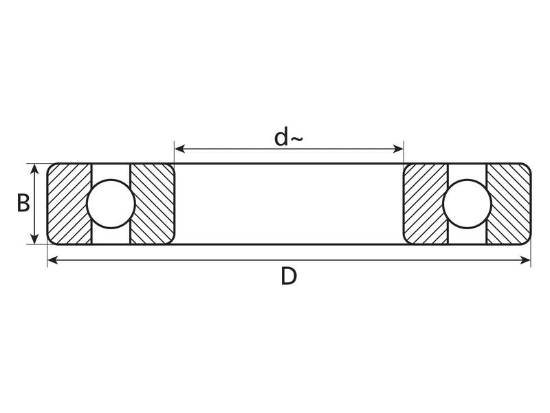 Sparex Rolamento (6305ZZ) (S.18120)