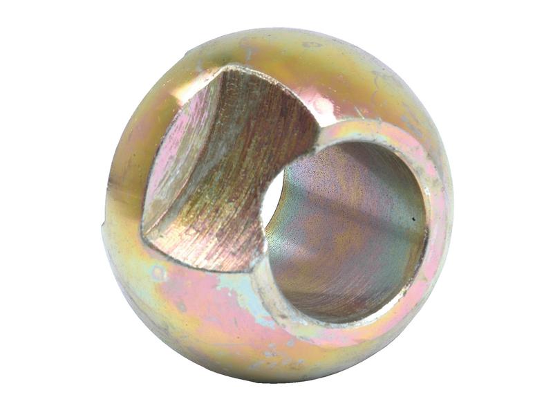 Rotula (Cat. 2/2) (S.18390)