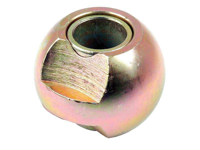 Rotula (Cat. 2/1) (S.19173)