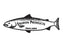 Cabo de vassoura Ø: 28.5mm (1-1/8'') x Comprimento (cm): 152cm (60'') (S.19194)