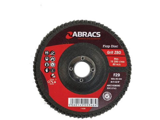 Disco de lamelas Ø100 x 10 x 16mm - 80 Grit (S.20189)