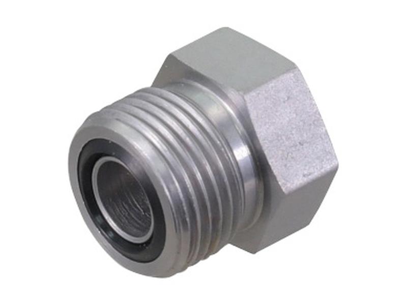 Bujão ORFS 13/16''UNF (S.20865)