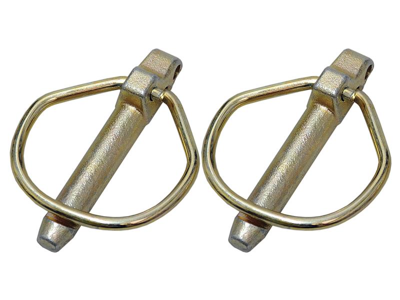 Agripak 2 un. Cavilha, 10.5mm x 46mm (S.22538)