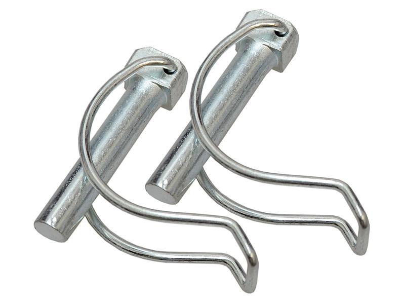 Agripak 2 un. Cavilha 10mm x 60mm (S.25799)