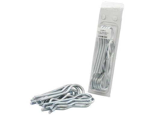 Agripak 10 un. cavilhas tipo R, 6 x 120mm (S.25814)