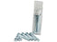 Agripak 5 un. Parafuso métrico, M16x100mm (S.25982)