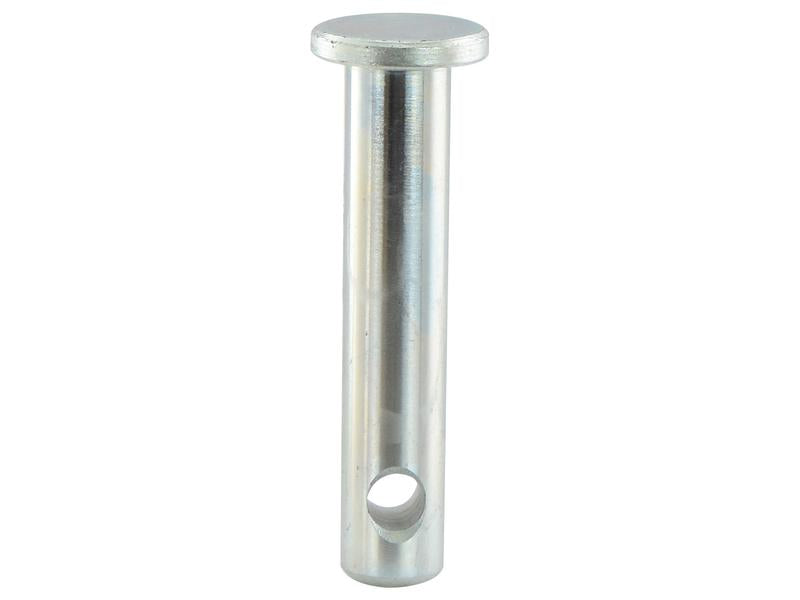 Cavilha 19x80mm Cat.1 (Ø19mm) (S.2631)