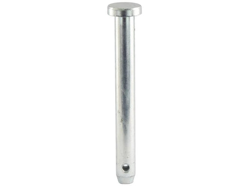 Cavilha 19x149mm Cat.1 (Ø19mm) (S.2632)