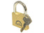 Squire Solid Brass Lion Range Padlock - Brass, Largura da estrutura em: 60mm (Classificação de segurança: 5) (S.26764)