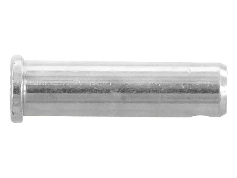 Cavilha 16x50mm Cat. (S.29168)