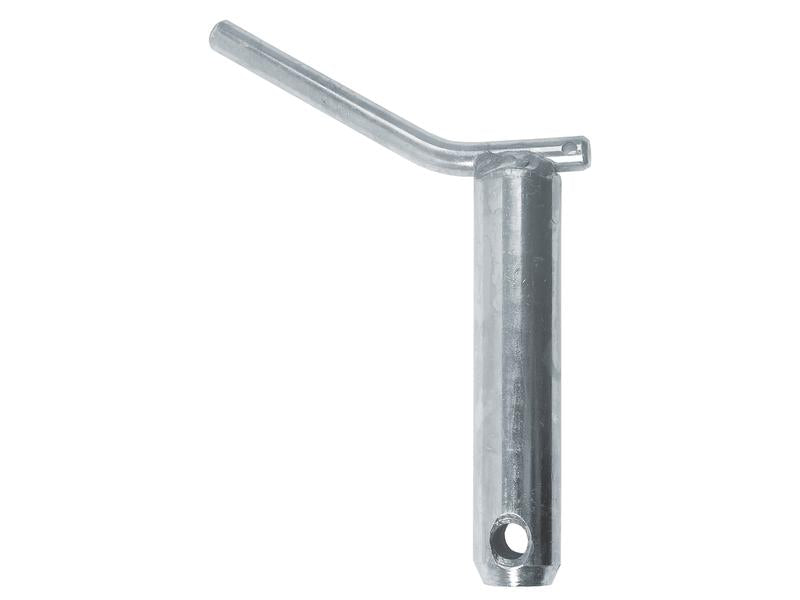 Cavilha 30x123mm Cat.30mm (S.29238)