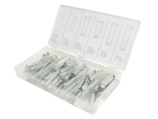 Kit Cavilhas 60 un. (S.29895)