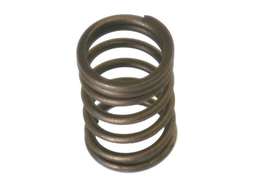 Mola interna (S.30014)