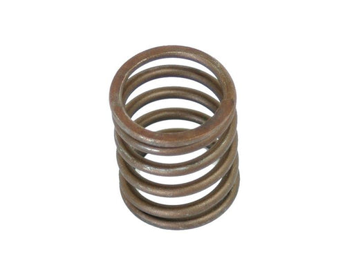 Mola externa (S.30015)