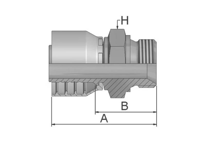 Parker BSP 60° Racord 1/4'' x 1/2'' - 14TPI Macho Direita (S.3110804)