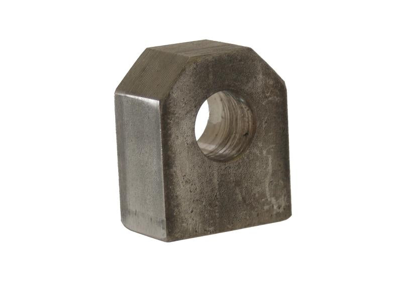 WELD-ON EYE 25MM (S.31212)
