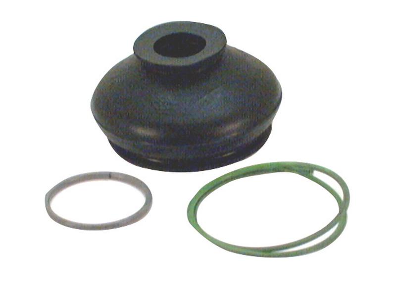 Fole (S.31486)
