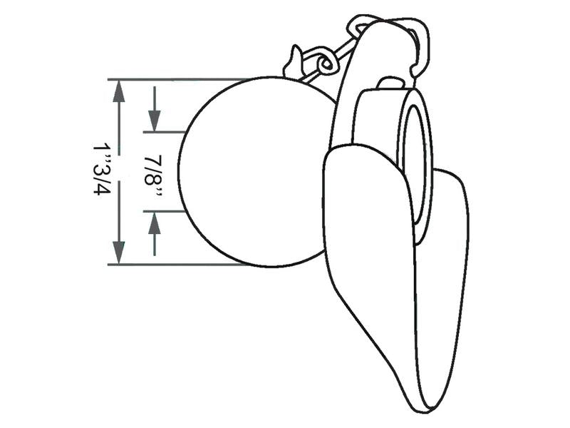 Rotula (Cat. 1/1) (S.32991)