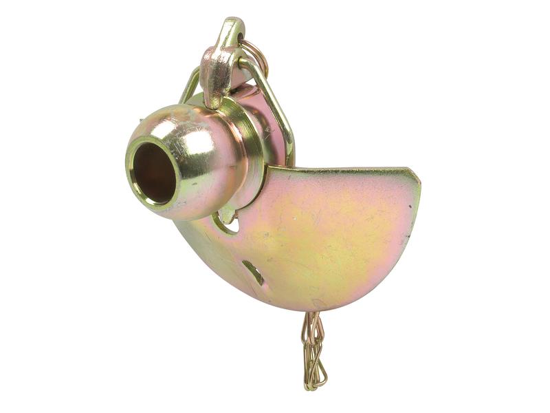 Rotula (Cat. 1/1) (S.32991)