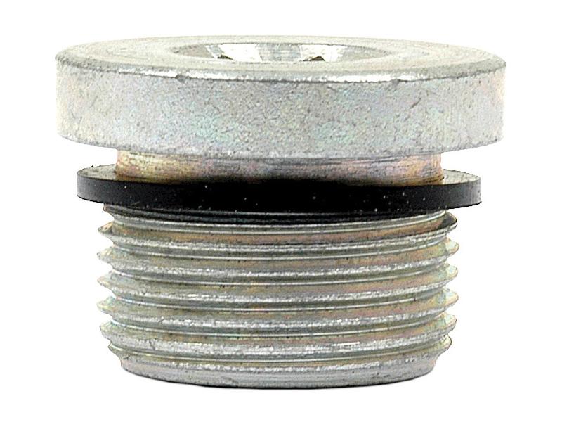 Bujão M22 (S.34236)