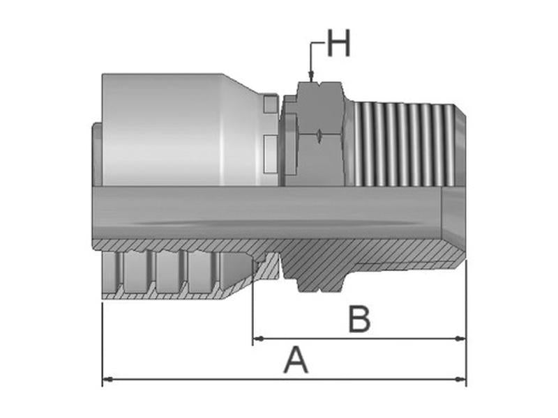 Parker BSPT Racord 1/2'' x 1/2'' - 14TPI Macho Direito (S.3810808)