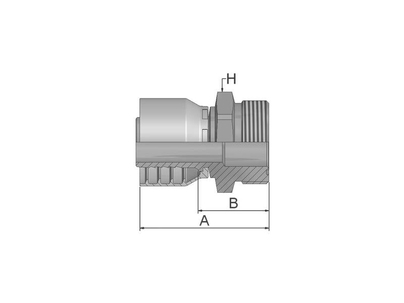 Parker ORFS Racord 5/8'' x 1-3/16'' - 12TPI Macho Direita (S.3851910)