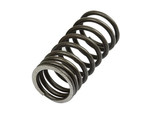 Mola interna (S.40501)