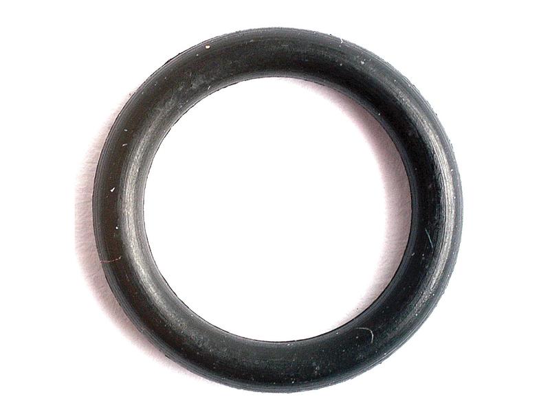 O'ring (S.40876)