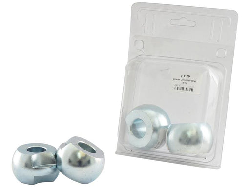 Rotula (Cat. 1/1) (S.4129)