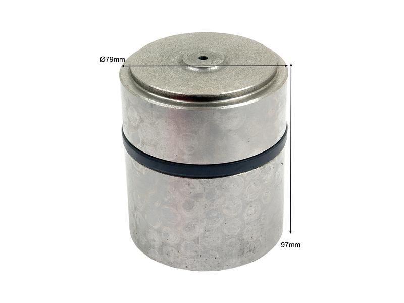 Pistão e segmentos (S.41358)