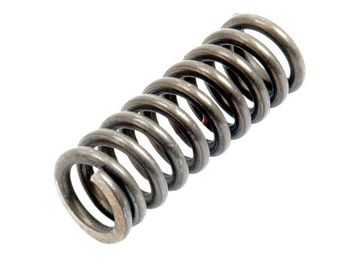 Mola do pino (S.41974)