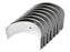 Capas de Biela Standard (Conjunto) (S.42366)