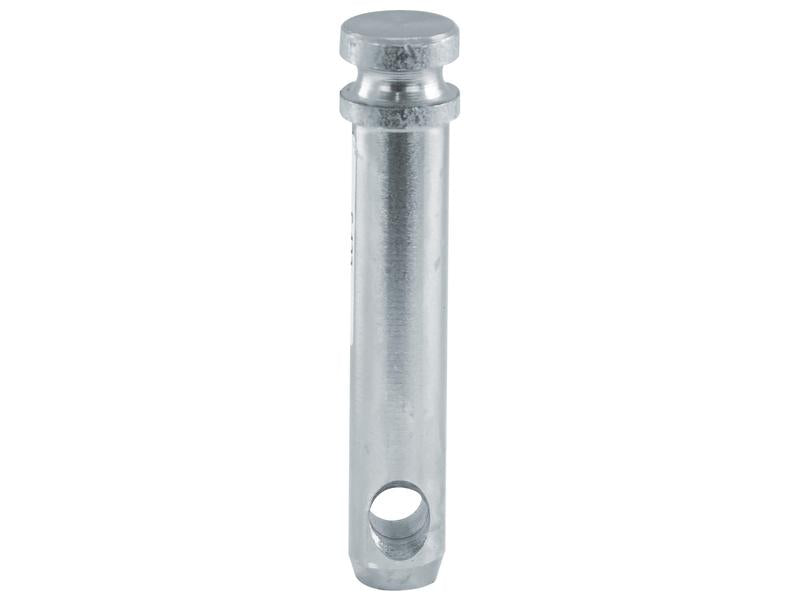 Cavilha 20x83mm Cat. 1 (Ø19mm) (S.423)