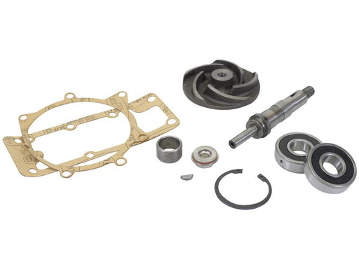 Kit reparação bomba água (S.42442)