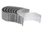Capas de Biela Standard (Conjunto) (S.42922)