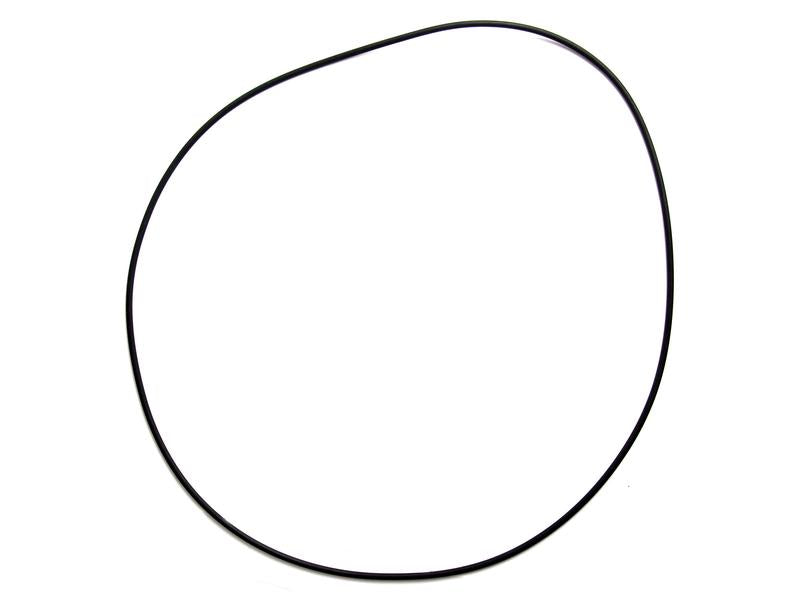 O'ring 4 x 310mm (S.42980)