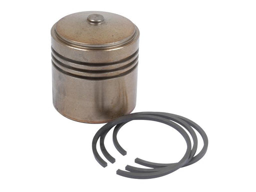 Pistão do cilindro hidraulico (S.43019)